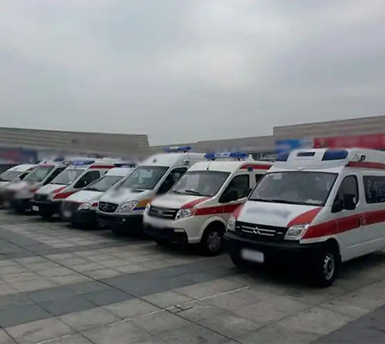 洮南市服务车队展示